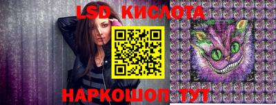 ALPHA PVP Гай
