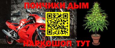 ALPHA PVP Гай
