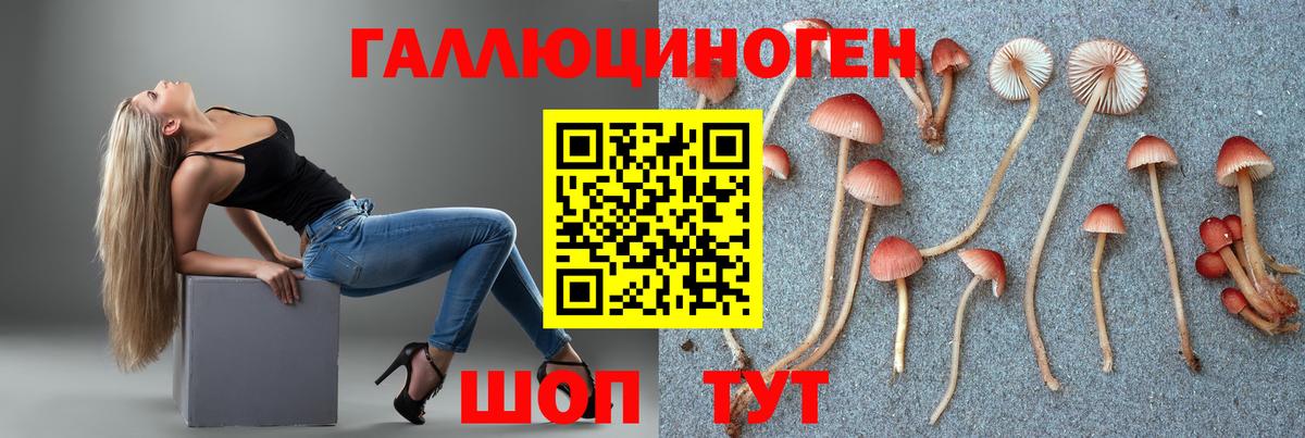 Бошки Шишки  Кокаин  МЕФ кристаллы  Саранск  Экстази  Вход с VPN  Меф  Лсд 25  Гашиш  Метамфетамин 